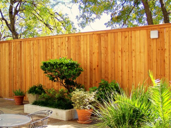 Wood Fence with Steel Supports