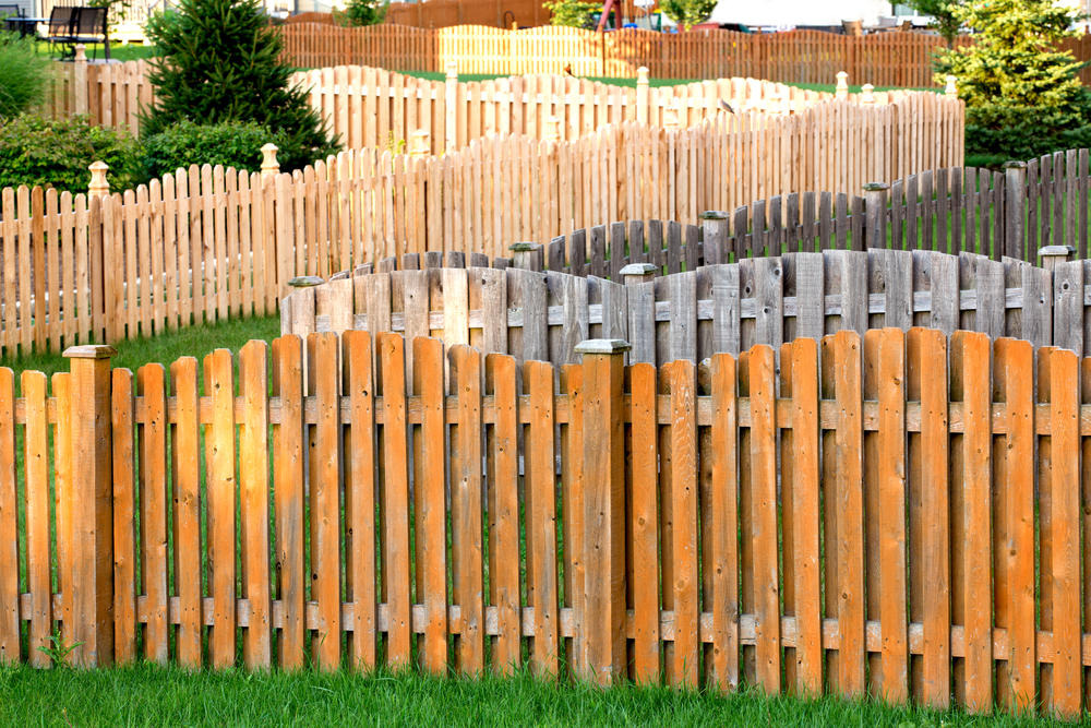 Western Red Cedar vs. Pine Which is Better for Wood Fencing?