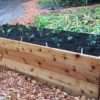 1x6x4 Residential Grade Western Red Cedar - Image 3