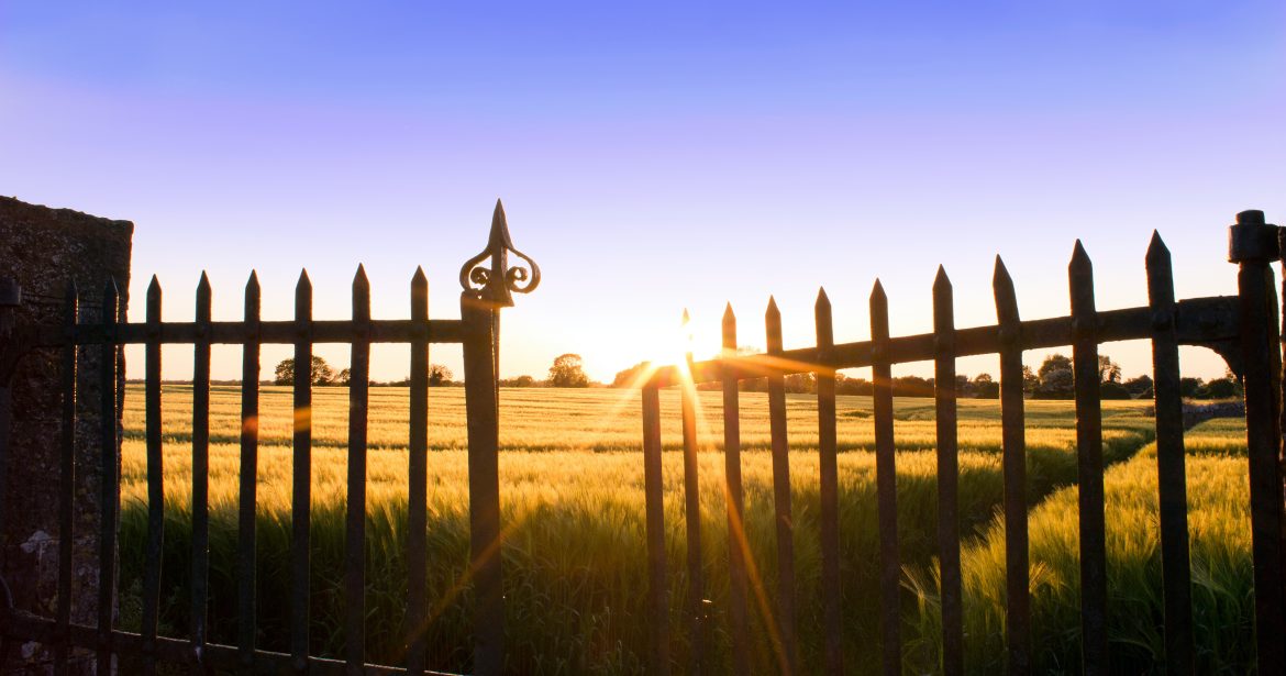 country driveway gate ideas
