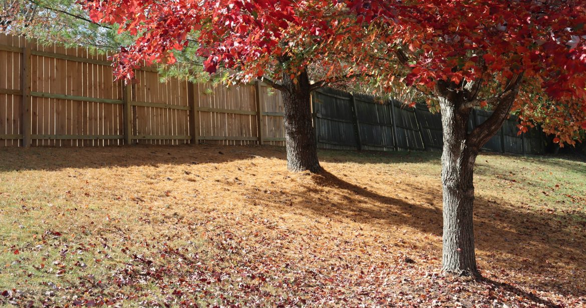 how to brace a fence against wind